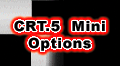 CRT.5 Mini Truggy Options